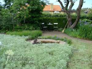 Trädgårdsdesign