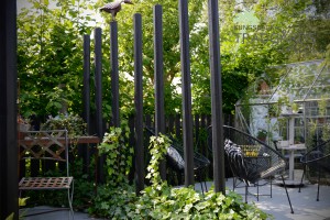 Väggar i trädgården